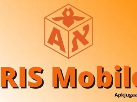 IRIS Mobile- Feature Image-min