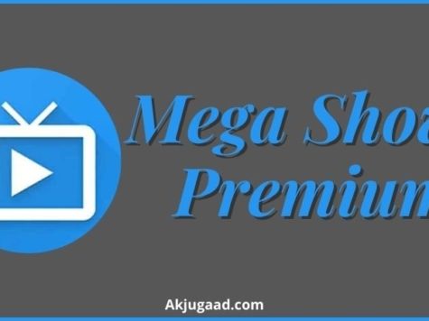 Mega Shows Premium- Feature Image-min